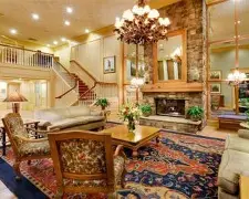 九游娱乐-灰熊最新消息今天