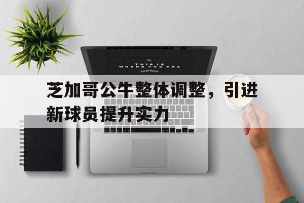 九游娱乐-芝加哥公牛2021